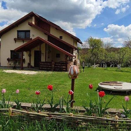 Cottage In Traditional Village Bradulet, Arges County Luaran gambar