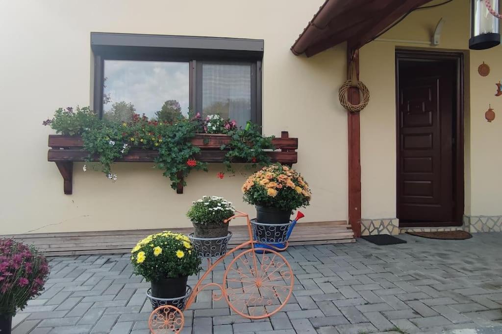Cottage In Traditional Village Bradulet, Arges County Luaran gambar