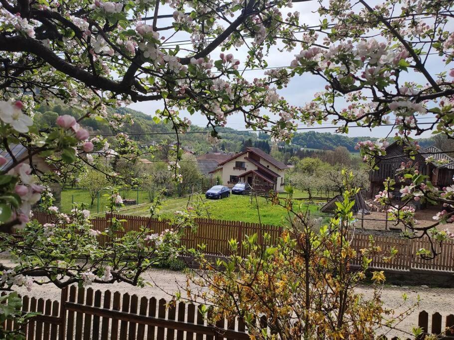 Cottage In Traditional Village Bradulet, Arges County Luaran gambar