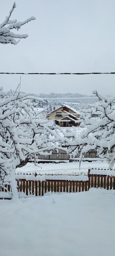 Cottage In Traditional Village Bradulet, Arges County Luaran gambar