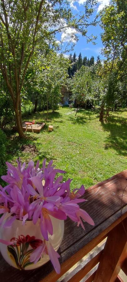 Cottage In Traditional Village Bradulet, Arges County Luaran gambar