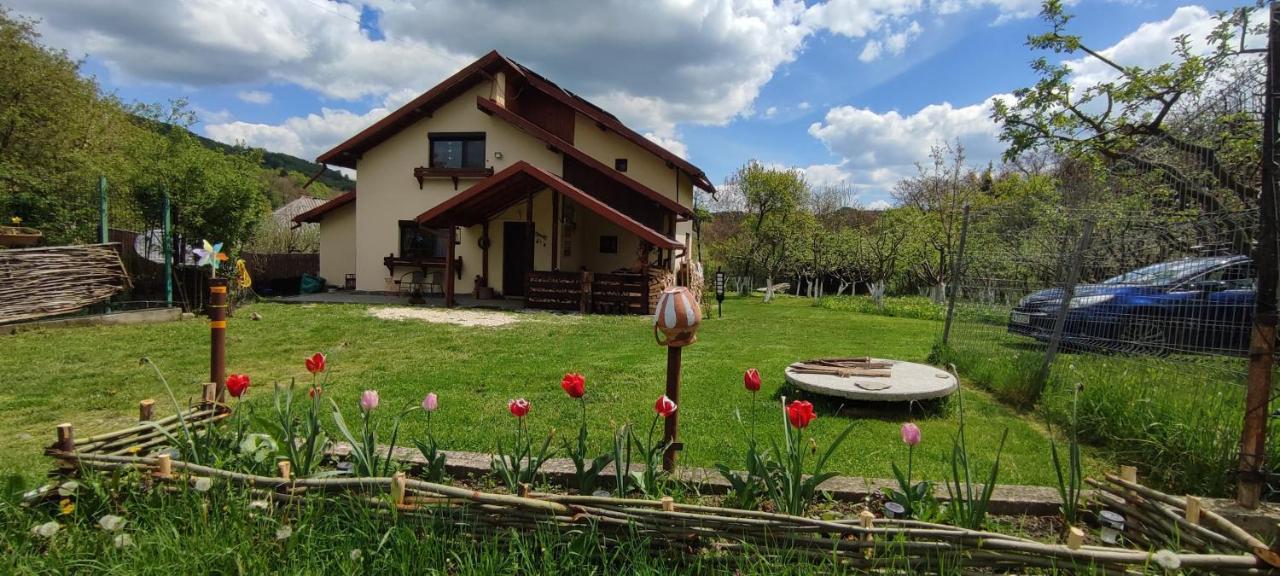 Cottage In Traditional Village Bradulet, Arges County Luaran gambar