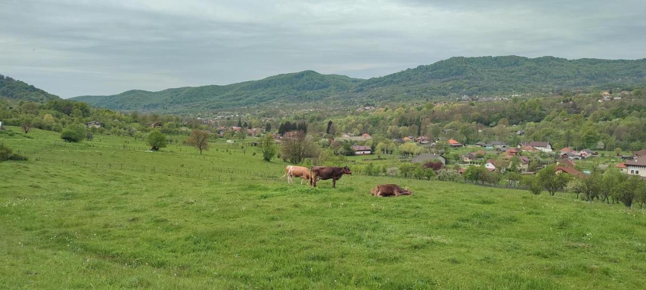 Cottage In Traditional Village Bradulet, Arges County Luaran gambar