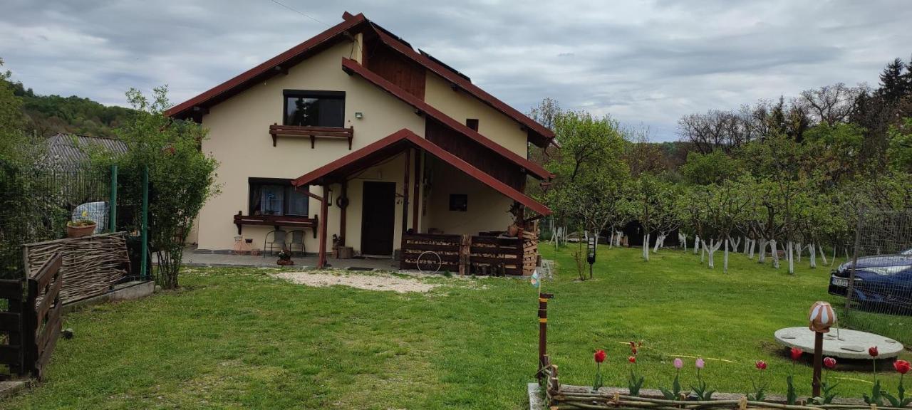 Cottage In Traditional Village Bradulet, Arges County Luaran gambar