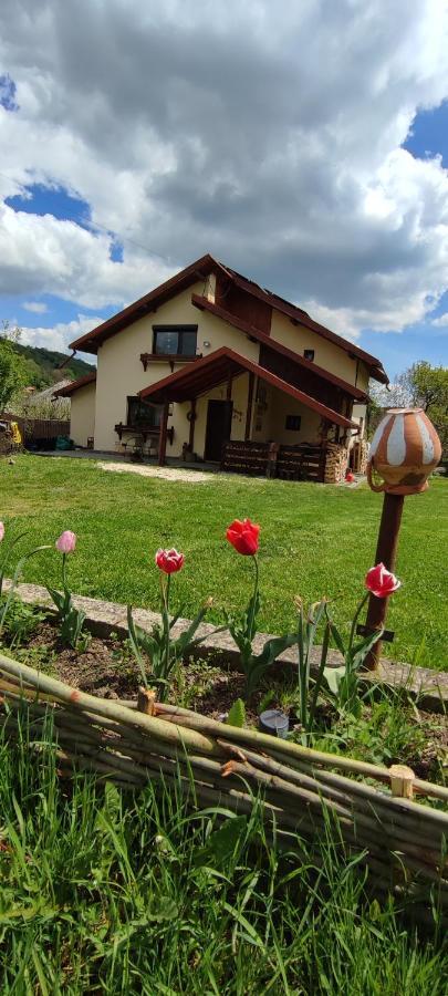 Cottage In Traditional Village Bradulet, Arges County Luaran gambar