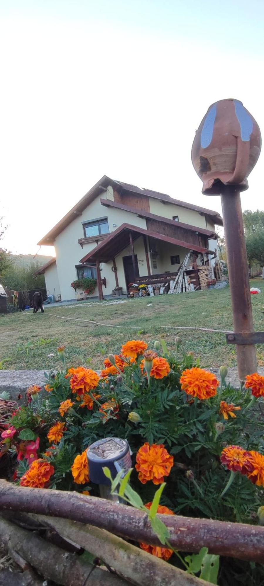 Cottage In Traditional Village Bradulet, Arges County Luaran gambar