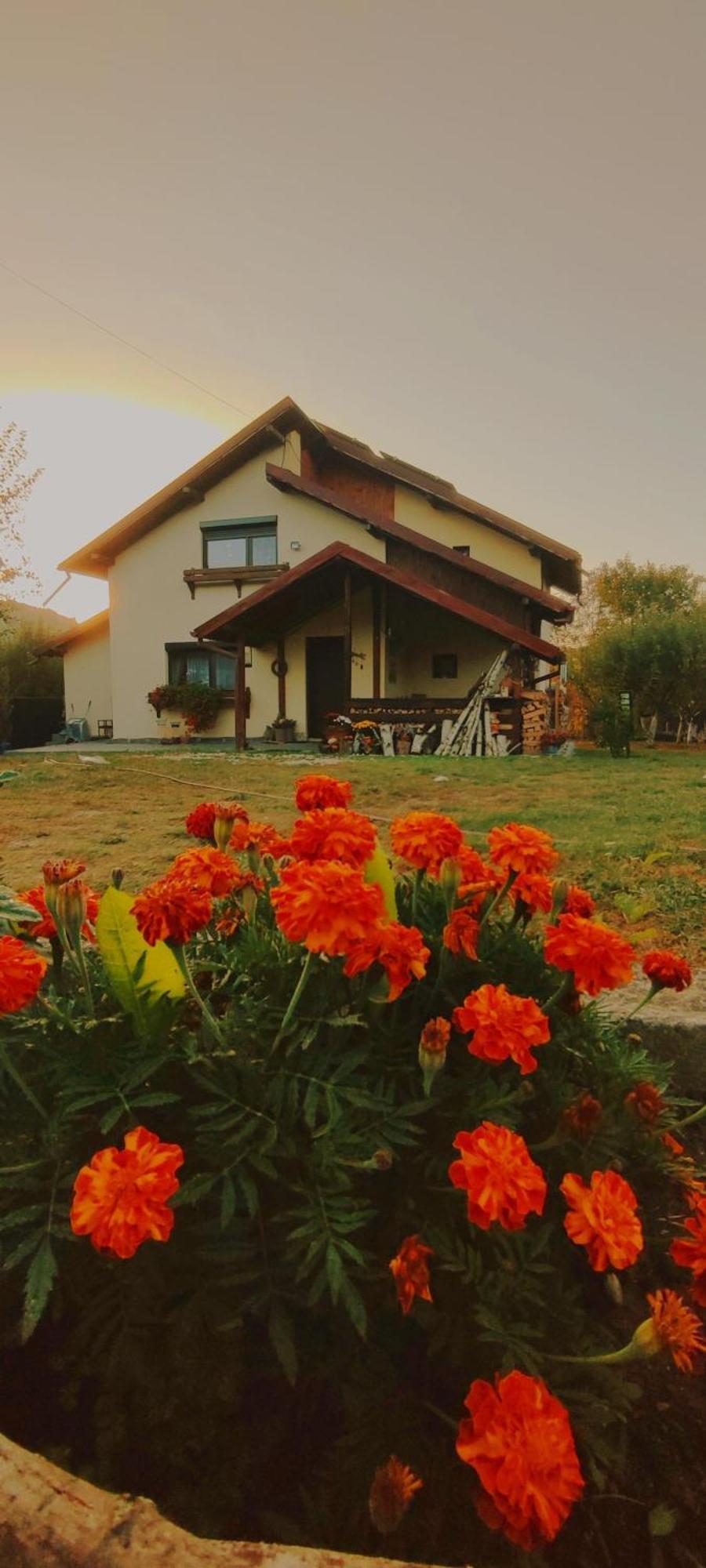 Cottage In Traditional Village Bradulet, Arges County Luaran gambar